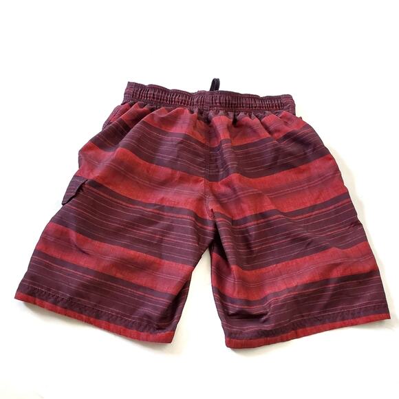 Speedo | Striped Swim Trunks Board Shorts - Picture 3 of 11